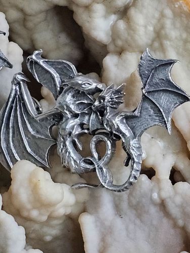 Four Wings Learning to Fly Dragon Pin