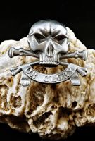 Death or Glory Cap Badge