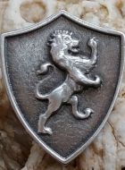 Rampant Lion Shield Pin