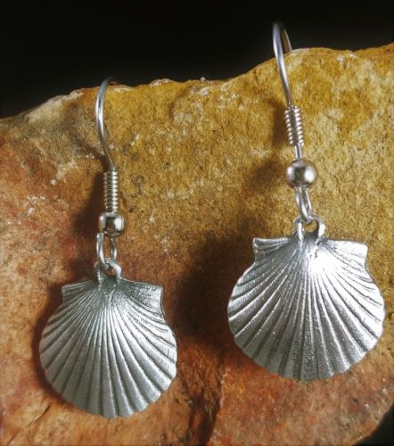 Shell Earrings