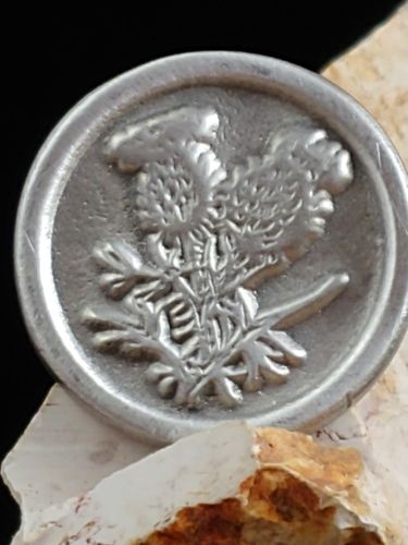 Slanite Mhor Luck Coin